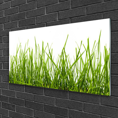 Foto in glas Grass nature plant