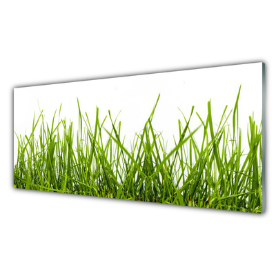 Foto in glas Grass nature plant