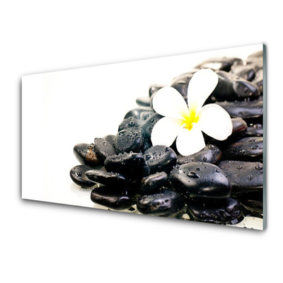 Foto in glas Bloemen stones art