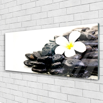 Foto in glas Bloemen stones art