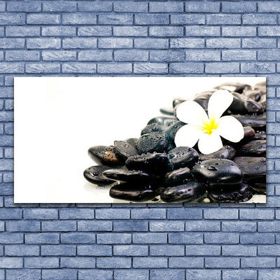 Foto in glas Bloemen stones art