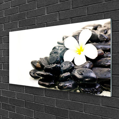 Foto in glas Bloemen stones art