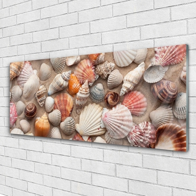 Foto in glas Shellfish zandkunst