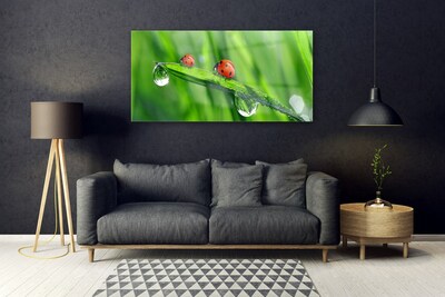 Foto in glas Ladybug grass drops