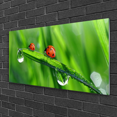 Foto in glas Ladybug grass drops