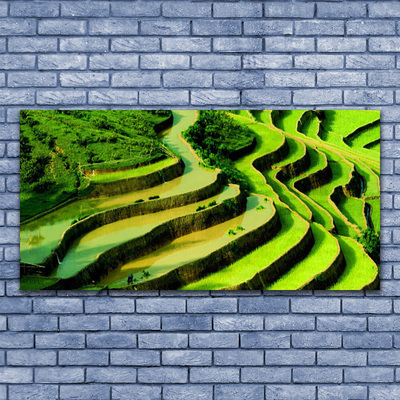 Foto in glas Rice field forest nature