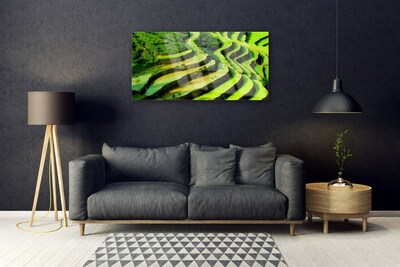 Foto in glas Rice field forest nature