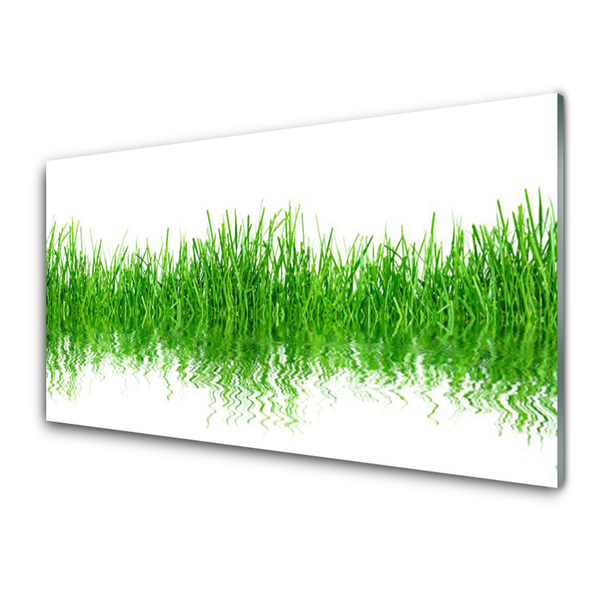 Foto in glas Grass nature plant