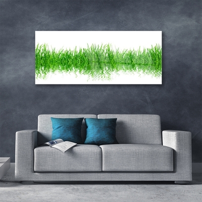 Foto in glas Grass nature plant