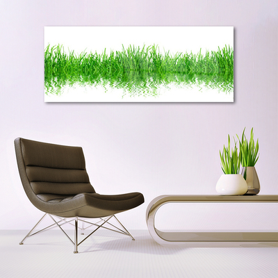 Foto in glas Grass nature plant