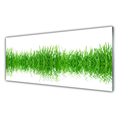 Foto in glas Grass nature plant