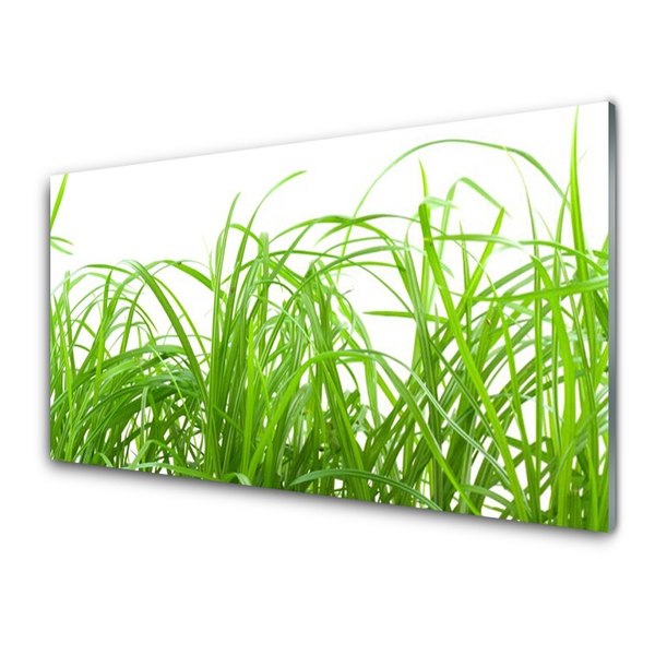 Foto in glas Grass nature plant