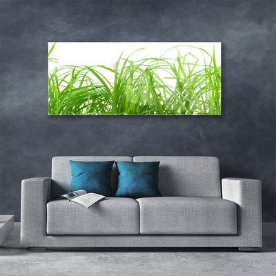 Foto in glas Grass nature plant