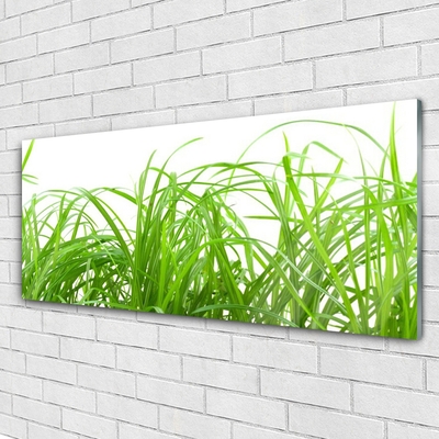 Foto in glas Grass nature plant