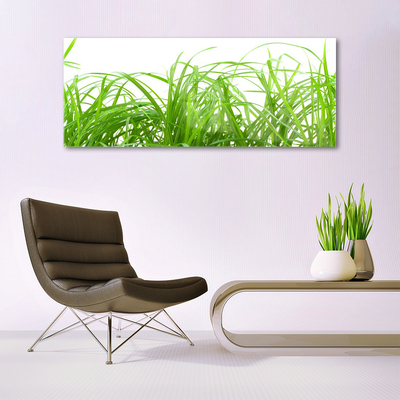 Foto in glas Grass nature plant