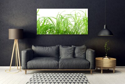 Foto in glas Grass nature plant