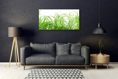 Foto in glas Grass nature plant