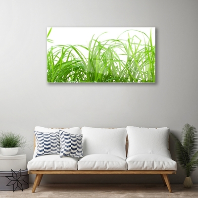 Foto in glas Grass nature plant