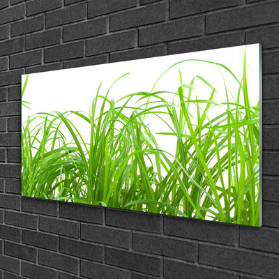 Foto in glas Grass nature plant