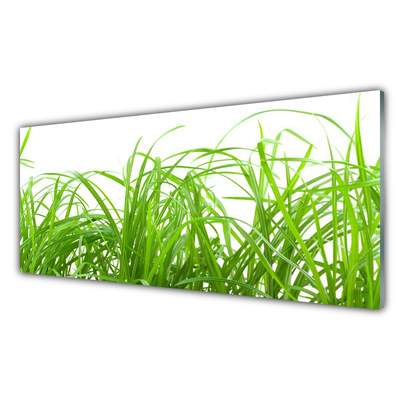 Foto in glas Grass nature plant