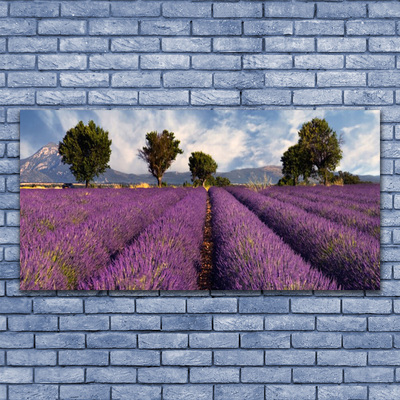 Foto in glas Tree meadow nature