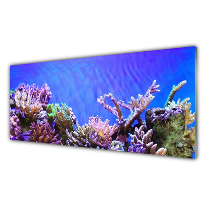 Foto in glas Barrier reef nature