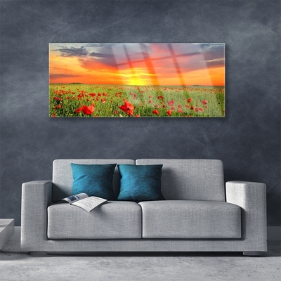 Foto in glas Poppies nature plant zon