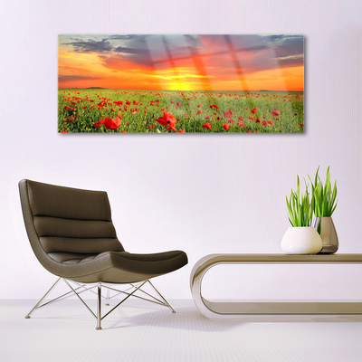 Foto in glas Poppies nature plant zon