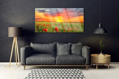 Foto in glas Poppies nature plant zon