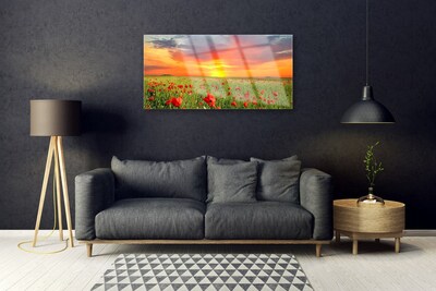 Foto in glas Poppies nature plant zon