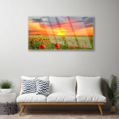 Foto in glas Poppies nature plant zon