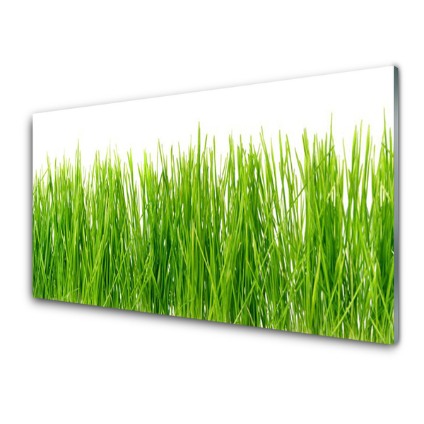 Foto in glas Grass nature plant