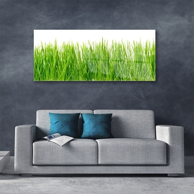 Foto in glas Grass nature plant