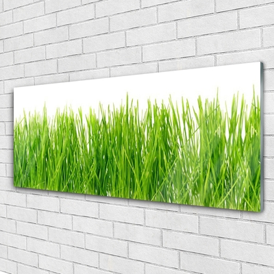 Foto in glas Grass nature plant