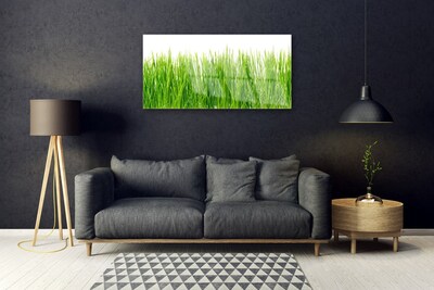 Foto in glas Grass nature plant