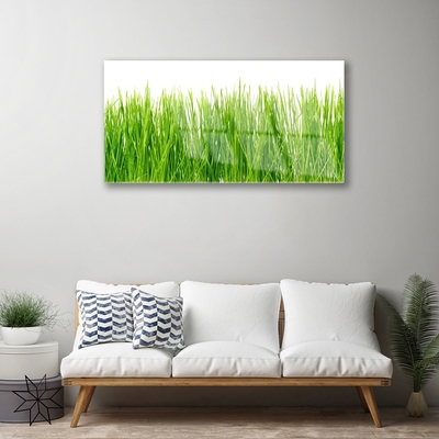 Foto in glas Grass nature plant