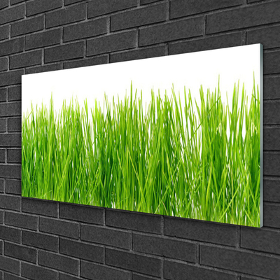 Foto in glas Grass nature plant