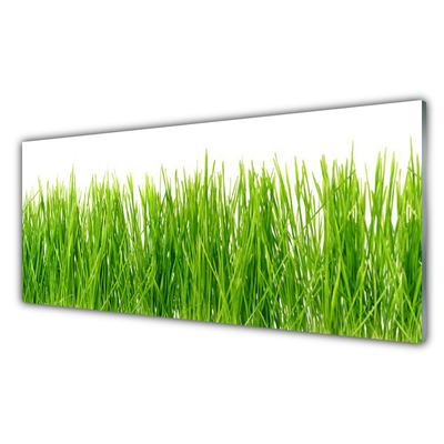 Foto in glas Grass nature plant