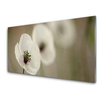 Foto in glas Natuur bloem plant