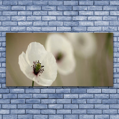 Foto in glas Natuur bloem plant