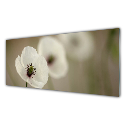 Foto in glas Natuur bloem plant