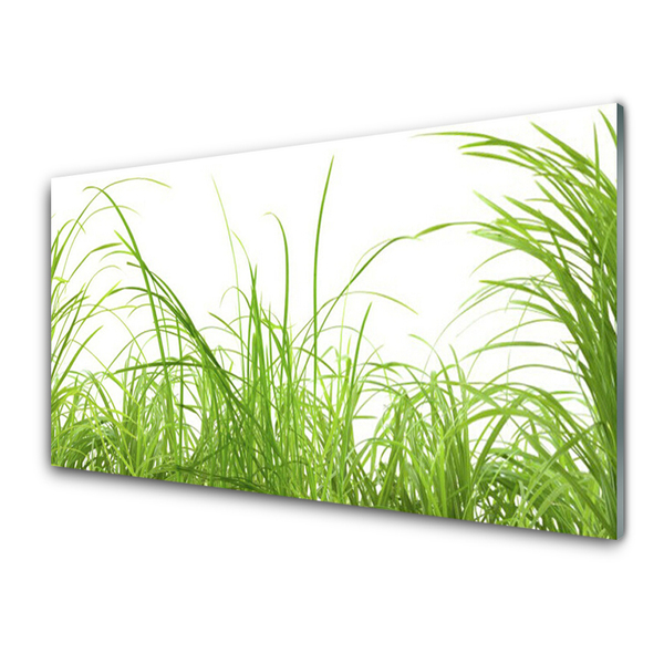 Foto in glas Grass nature plant