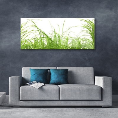 Foto in glas Grass nature plant