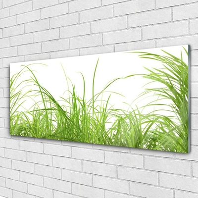 Foto in glas Grass nature plant