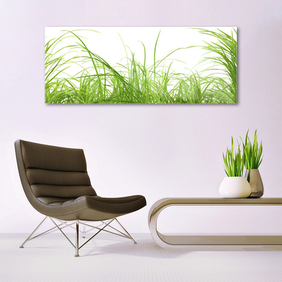 Foto in glas Grass nature plant