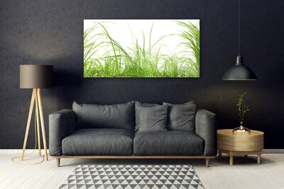 Foto in glas Grass nature plant