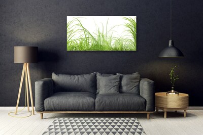 Foto in glas Grass nature plant