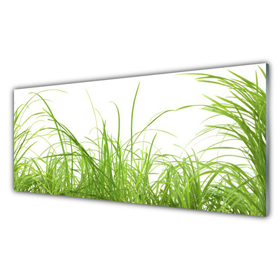 Foto in glas Grass nature plant