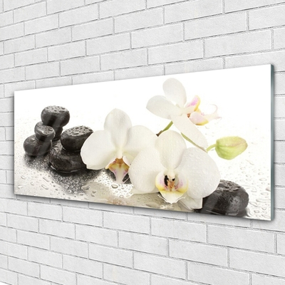 Foto in glas Stenen bloem plant