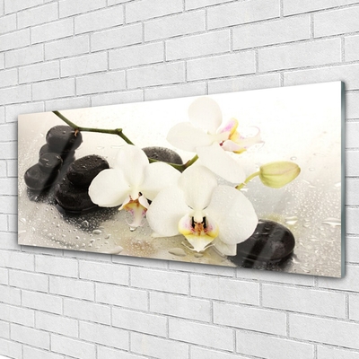 Foto in glas Mooie bloem orchidee